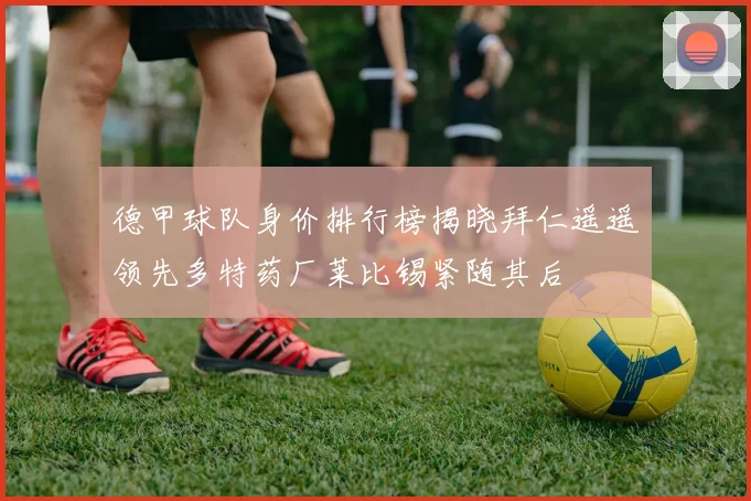 德甲球队身价排行榜揭晓拜仁遥遥领先多特药厂莱比锡紧随其后