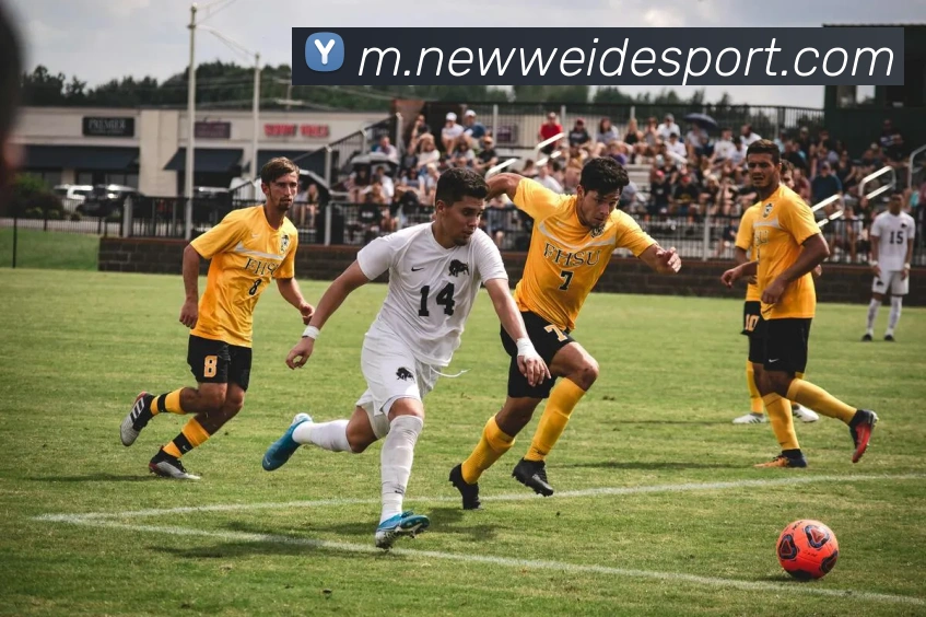 伟德体育品牌故事