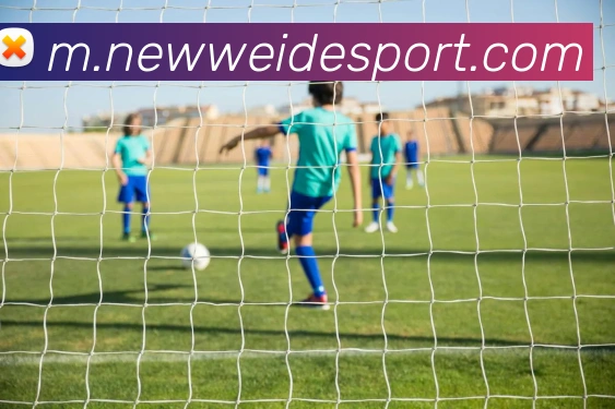 伟德体育服务体系