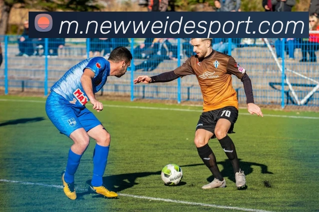 伟德体育APP 体育赛事宣传图